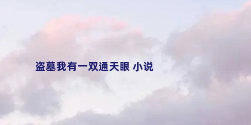 盗墓我有一双通天眼 小说